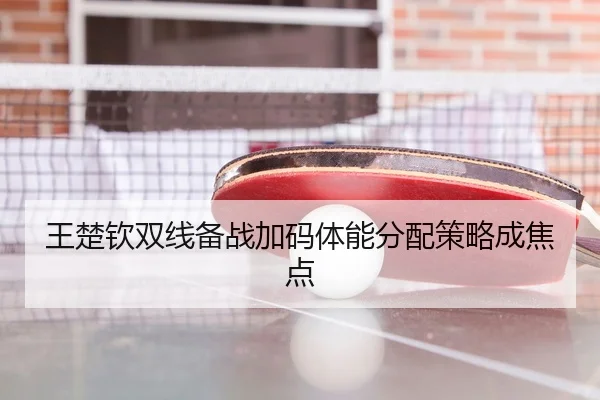 王楚钦双线备战加码体能分配策略成焦点
