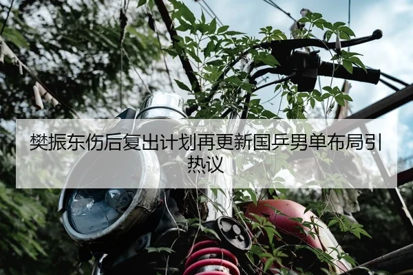樊振东伤后复出计划再更新国乒男单布局引热议